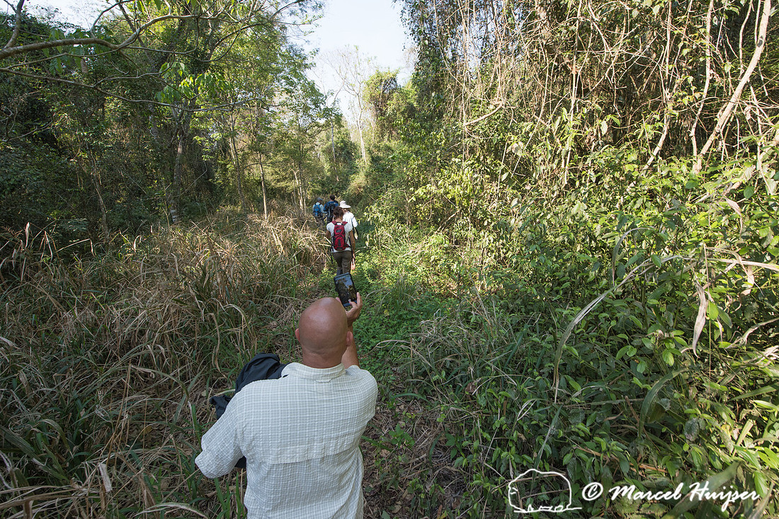 The abandoned dirt road Estrada do Colono (" Settler's Road"),