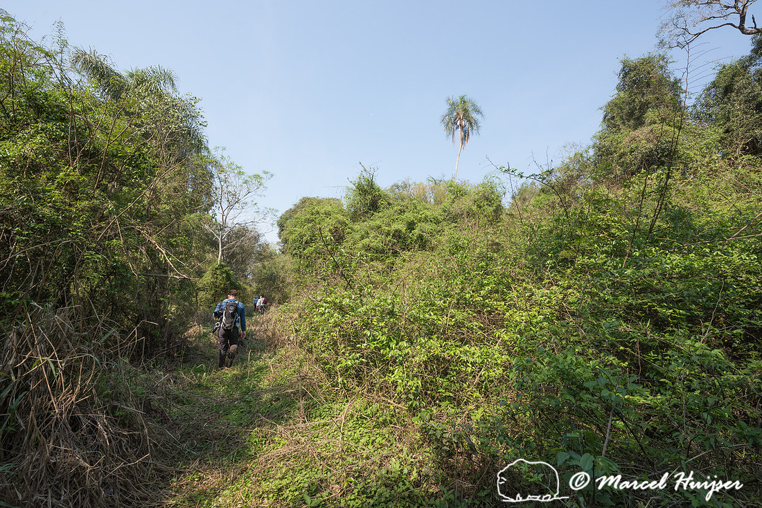 The abandoned dirt road Estrada do Colono (" Settler's Road"),
