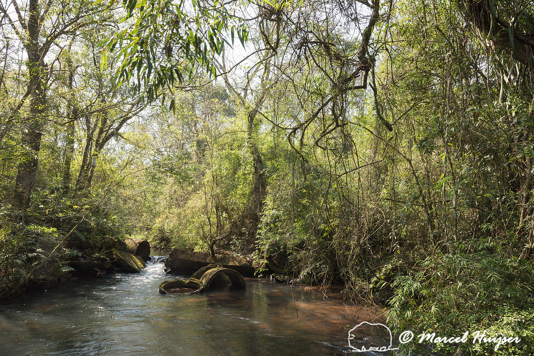 Broken culvert along the  abandoned dirt road Estrada do Colono