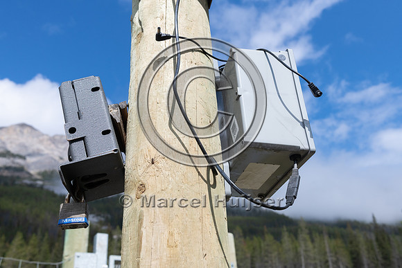 Electrified barrier to keep bears off the highway, exit Lake O'H