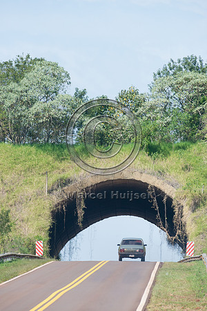 Wildlife overpass, Ruta 101, Misiones, Argentina