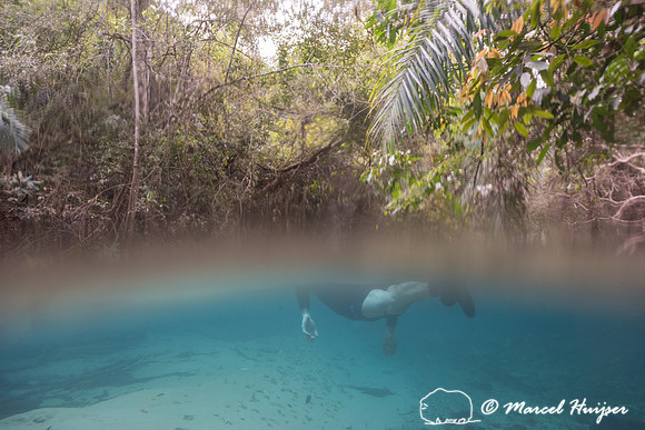 Snorkeling in Rio da Prata, Bonito, Mato Grosso do Sul, Brazil