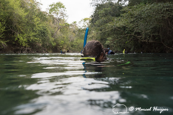 Bethanie Walder, snorkeling in Rio da Prata, Bonito, Mato Grosso