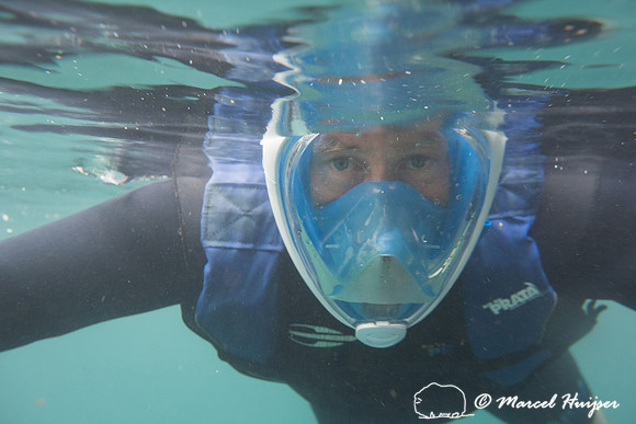 Marcel Huijser snorkeling in Rio da Prata, Bonito, Mato Grosso d