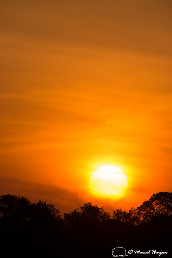 Sunset, Rio Negro, Pantanal, Mato Grosso do Sul, Brazil