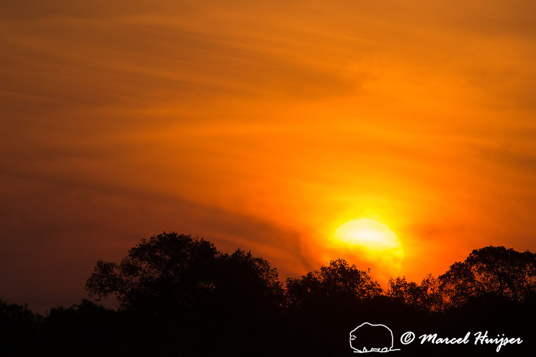 Sunset, Rio Negro, Pantanal, Mato Grosso do Sul, Brazil