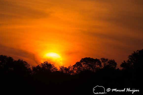 Sunset, Rio Negro, Pantanal, Mato Grosso do Sul, Brazil