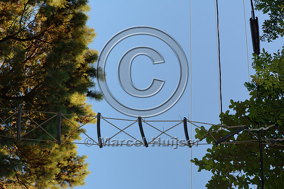 Insulated power lines at a canopy crossing for brown howler monkeys (Alouatta guariba clamitans), near Porto Alegre, Rio Grande do Sul, Brazil