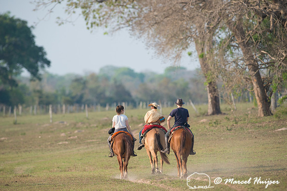 Horseback riding, Rio Negro, Pantanal, Mato Grosso do Sul, Brazi