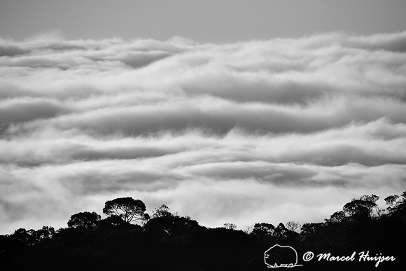 Atlantic forest in clouds, near Parque Nacional da Serra da Bocaina, São Paulo, Brazil