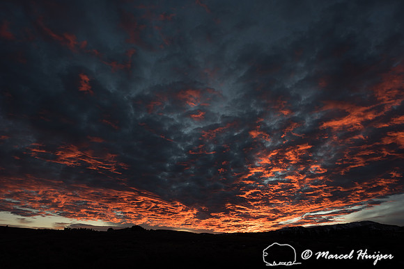 Sunrise, Yellowstone National Park, Wyoming, USA