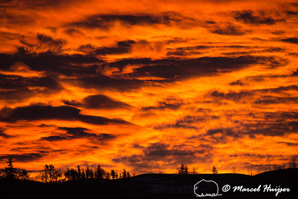 Sunrise, Yellowstone National Park, Wyoming, USA