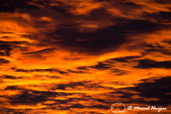 Sunrise, Yellowstone National Park, Wyoming, USA
