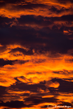 Sunrise, Yellowstone National Park, Wyoming, USA
