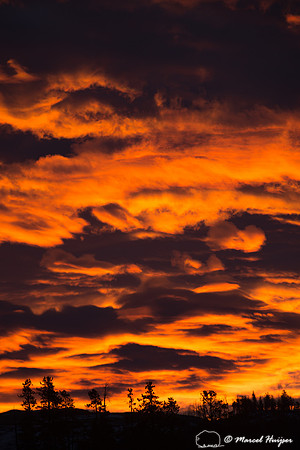 Sunrise, Yellowstone National Park, Wyoming, USA