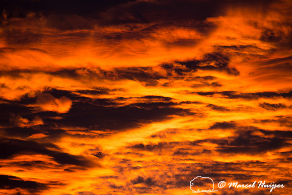 Sunrise, Yellowstone National Park, Wyoming, USA