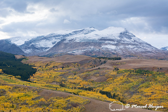 Fall colors, Glacier National Park, Montana, USA