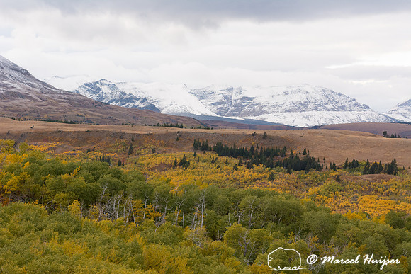 Fall colors, Glacier National Park, Montana, USA