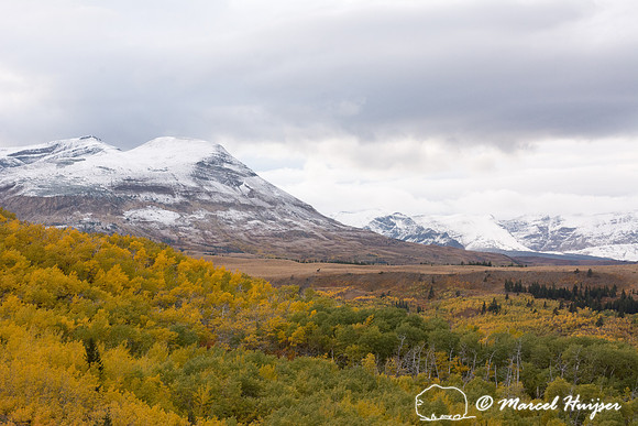 Fall colors, Glacier National Park, Montana, USA