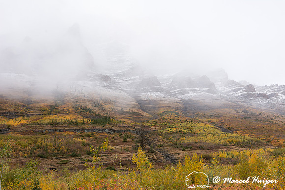 Fall colors, Glacier National Park, Montana, USA