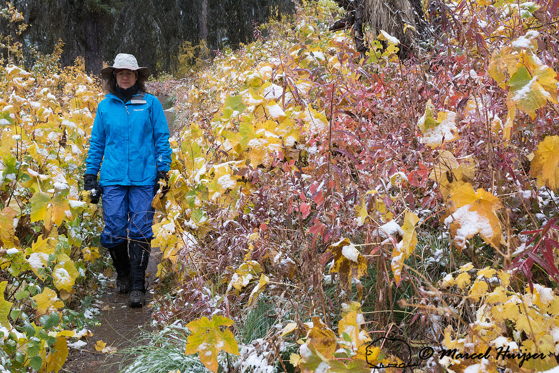 Bethanie Walder hiking, Glacier National Park, Montana, USA