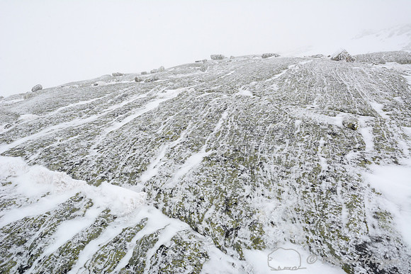 Ice fog on rocks, Dovrefjell National Park, Norway