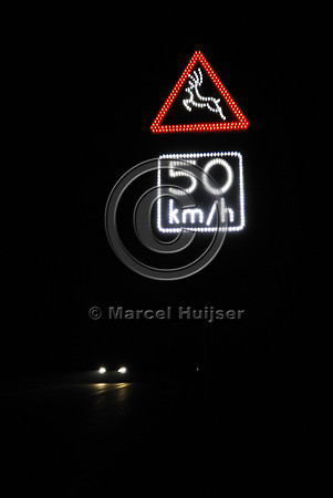 Animal detection system at night, Harderwijk, The Netherlands