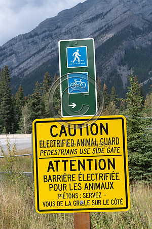 Electrified barrier to keep bears off the highway, exit Compound