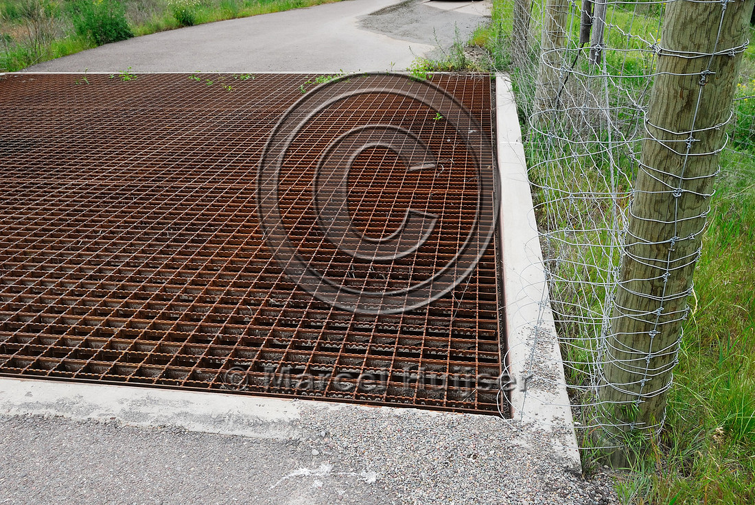 Fence bulbouts  at a wildlife guard installed to make it more difficult for deer to walk across the concrete ledge and access the highway, near Ravalli, Montana, USA