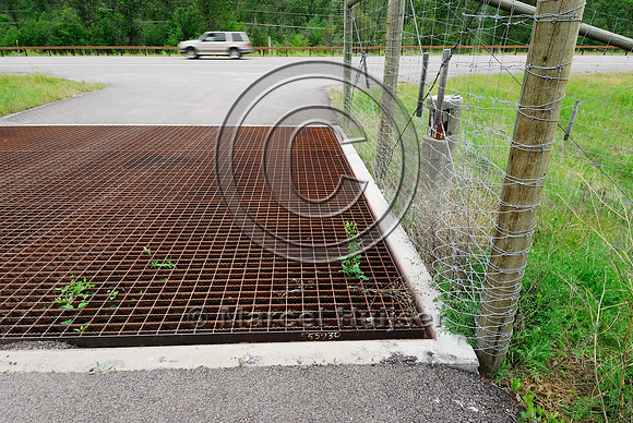 Fence bulbouts  at a wildlife guard installed to make it more difficult for deer (Odocoileus spp.) to walk across the concrete ledge and access the highway, near Ravalli, Montana, USA