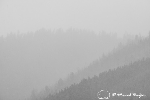 Fog and ridges, Yellowstone National Park, Wyoming