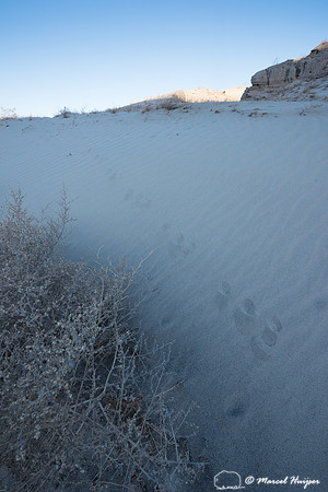 4x4 recovery course with Bill Burke, Anza Borrego Desert State P
