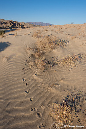 4x4 recovery course with Bill Burke, Anza Borrego Desert State P