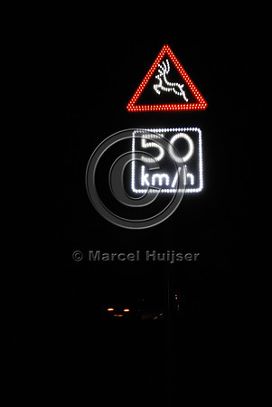 Animal detection system at night, Harderwijk, The Netherlands