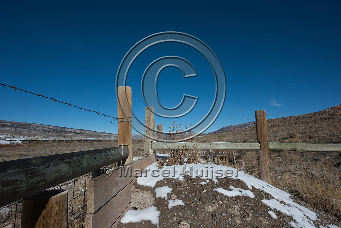 Wildlife jump-out, Utah, USA