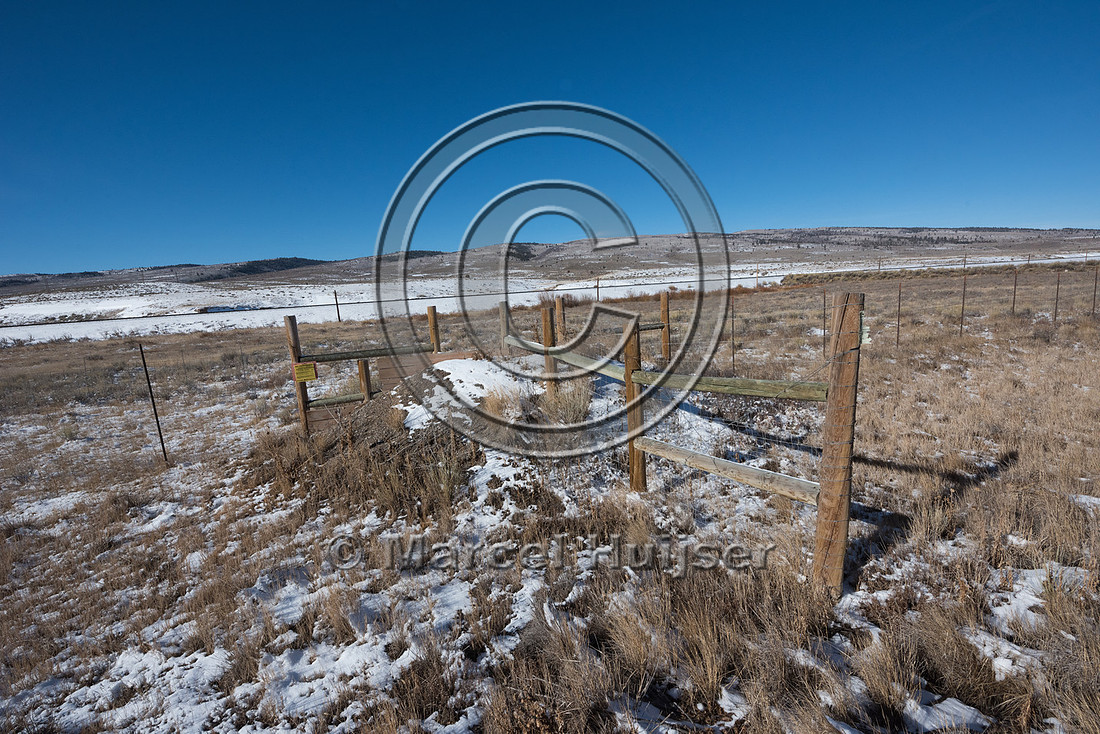 Wildlife jump-out, Utah, USA