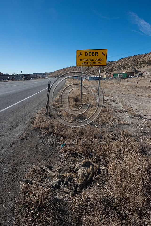 Warning sign, deer migration area, next 3 miles, Utah, USA