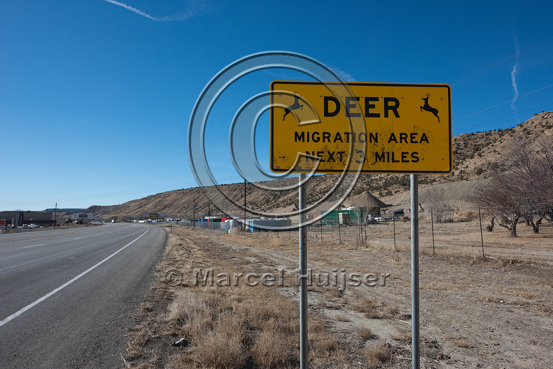 Warning sign, deer migration area, next 3 miles, Utah, USA