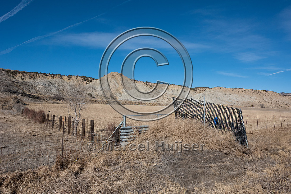 Wildlife jump-out, Utah, USA