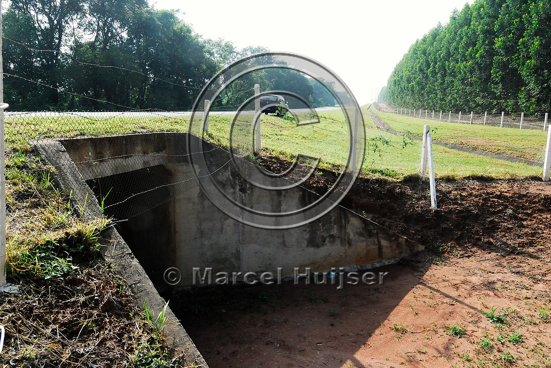 Multifunctional underpass, SP-225, near Brotas, Brazil