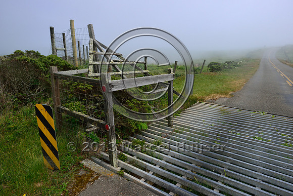 Wildlife guard for tule elk (Cervus canadensis nannodes), Point Reyes National Seashore, California, USA