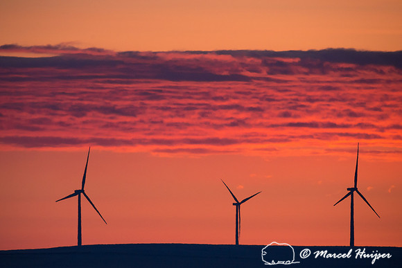 Wind turbines at sunrise, Montana, USA