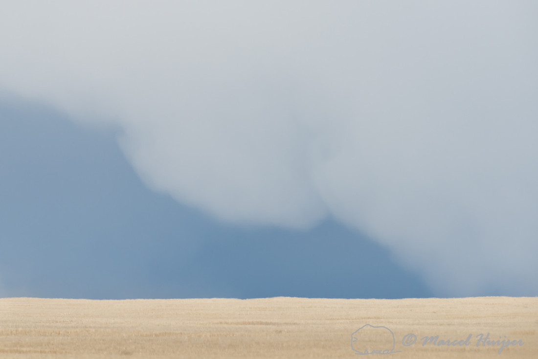 Storm above barley field, Montana, USA
