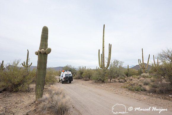 Camper van on dirt road, Saguaro National Park, Arizona, USA