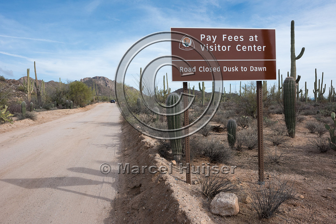 Night time road closure, Saguaro National Park, Arizona, USA