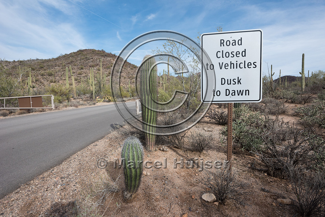 Night time road closure, Saguaro National Park, Arizona, USA