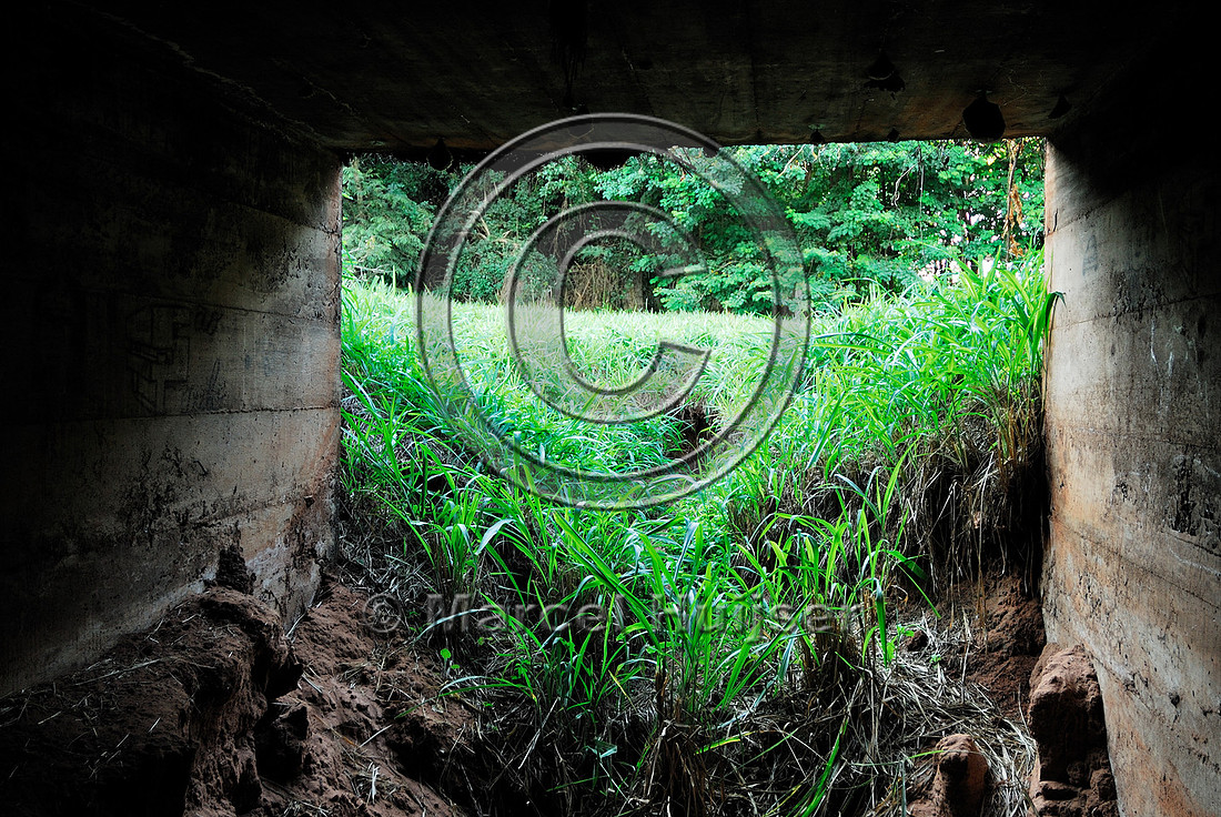 Multifunctional underpass, SP-225 motorway, Brotas, Brazil