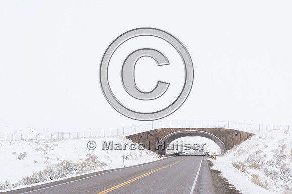 Wildlife overpass (south), US Hwy 93, near Wells, Nevada, USA
