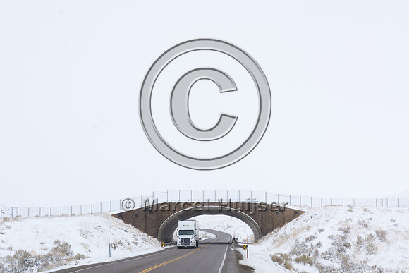 Wildlife overpass (south), US Hwy 93, near Wells, Nevada, USA