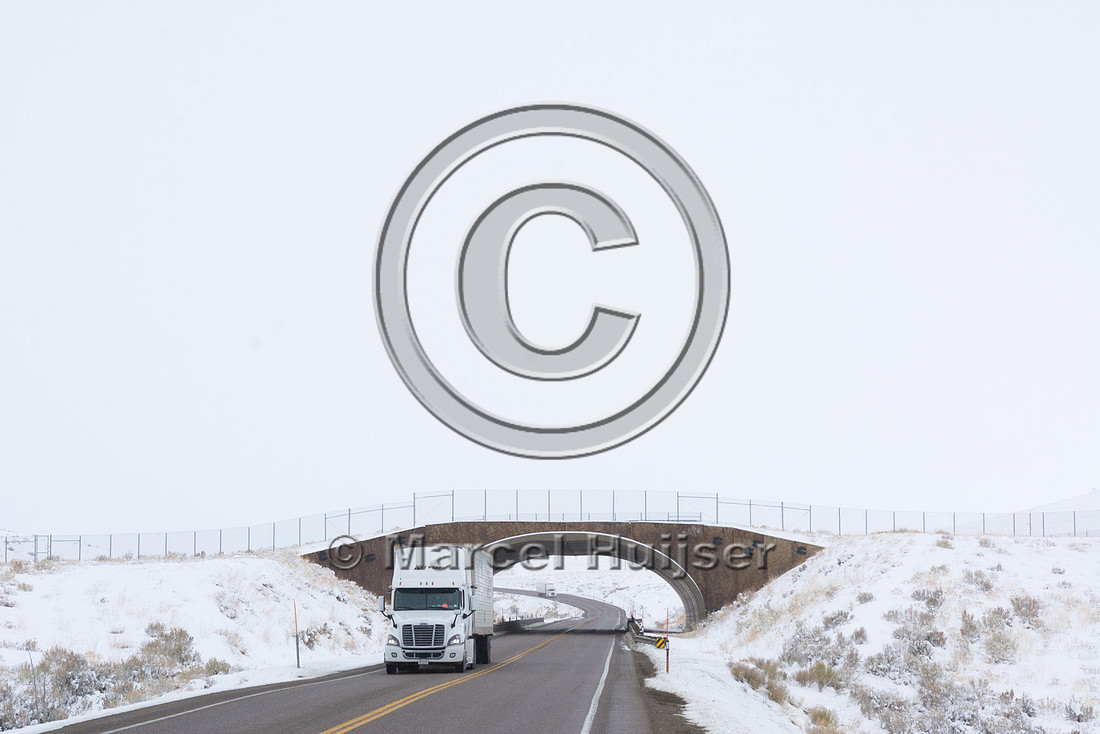 Wildlife overpass (south), US Hwy 93, near Wells, Nevada, USA